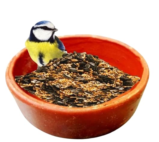 ZENRISE® Terracotta Clay Bird Feeder Water Pot, Bath tub for cage and Garden Birds, Medium Size, Brown, 15 cm (B08FQRGXG8) Amazon Price History, Amazon Price Tracker