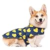 Dog raincoat with hood and leash hole rain coat for dogs adjustable belly strap reflective strips lightweight slicker dogs rain jacket for small medium large dogs and puppies  urban country home decor