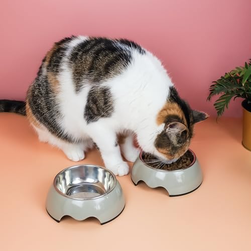ne&no® Futternapf 2er Set für Welpen und mittelgroße Hunde [Gr. M / 350 ml] Hundenapf rutschfest | Trinknapf Katze | Dog Bowl (M, Taupe)
