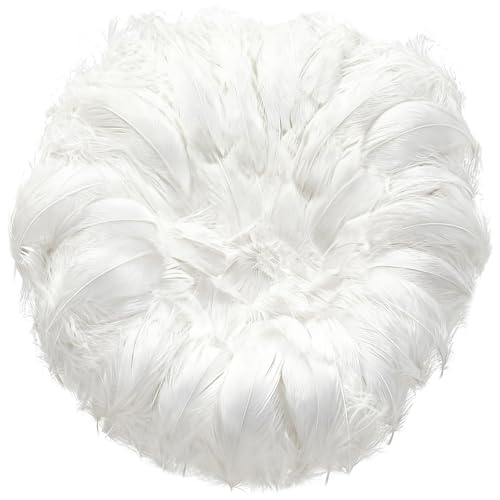 200 Pièces Plume,Plumes D'oie de L'artisanat Naturel,pour le Costumes,Sacs,D'intérieur,Rêves...