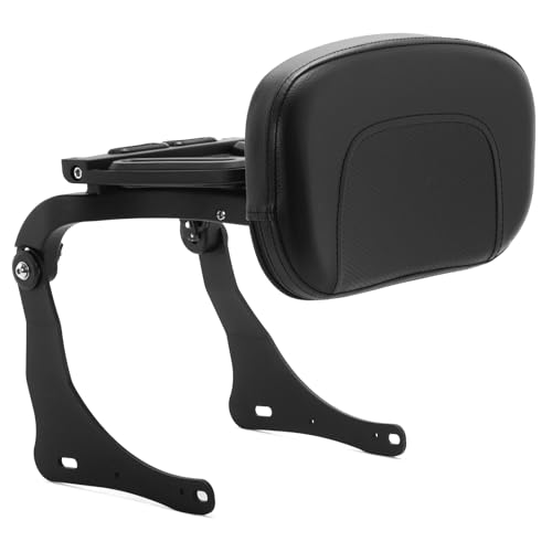 SFriding Multifunction Adjustable Sissy Bar