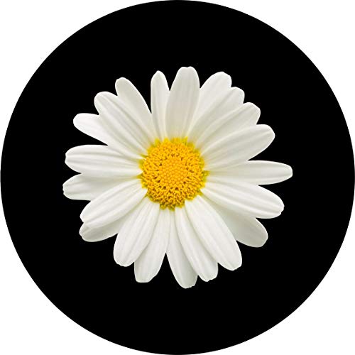 Tire Cover Central Single Daisy Flower Spare tire Cover (Custom Made to Your tire Size-See menu)