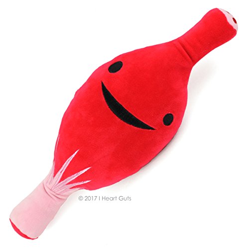 Peluche MUSCOLO Organi Interni - I Heart Guts! Sono flessibile e lo so!