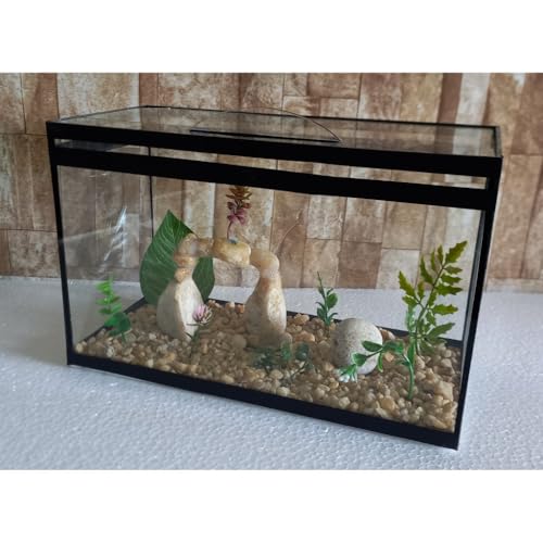 Aquário Beteira Retangular Decorada 8 Litros (até a borda) Peixe Betta ornamentação exclusiva
