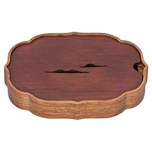 Bamboe Chinese Gongfu Theeblad Doos met Water Opslag voor Kungfu Thee Set