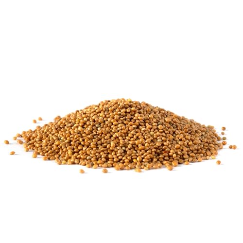 Bite & Delight 2kg Mijo Amarillo para Pájaros - Alimento Limpio y Puro para Ninfas y Periquitos - Comida para Aves Sin Aditivos - Pienso para Pájaros