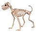 Crazy Bonez Skeleton Dog - Buster Bonez