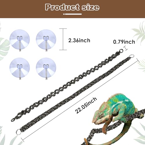 Acessórios de gaiola camaleão, acessórios camaleão, acessórios de escalada de dragão barbudo, use fe