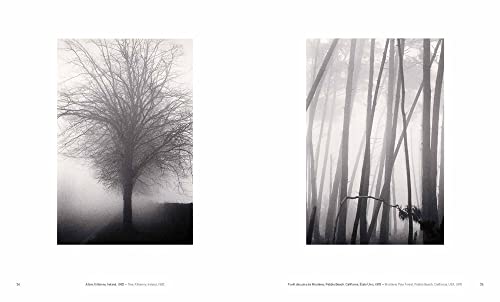 Michael Kenna: Trees: Trees / Arbres