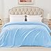 Exclusivo Mezcla Fleece Blankets Queen Size for Bed, Super Soft and Warm, All Season, Cozy, Plush, Lightweight, 90x90 Inches, Ice Blue