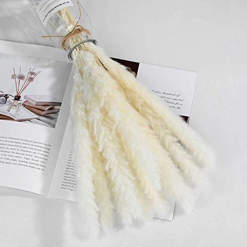 Viilich Gedroogde bloemen Pampas Gras, 45cm 30st Gedroogde Kleine Pampas Phragmites Communis decoratie Natuurlijke… - Afbeelding 6