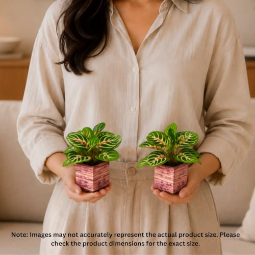 Image of DecoreBugs Artificial Real Touch Flower Plant with Pot (Pack of 2), 16 cm Height, Decorative Faux Floral Plant for Home, Office, Living Room, Bedroom, Table & Shelf Decor