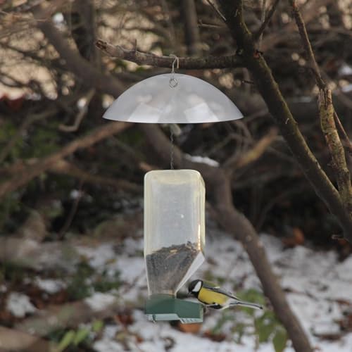 Cubierta protectora transparente para comederos de pájaros en jardines y terrazas 7