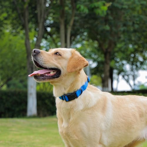 Nimble Wasserdichtes Hundehalsband, leicht zu reinigendes Gummihalsband mit Schnellverschluss, passend für kleine, mittlere oder große Hunde