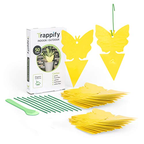 Trappify Sticky Fruit Fly and Gnat Trap Yellow Sticky Bug Traps for Indoor/Outdoor