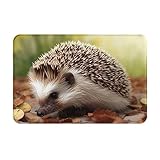 RLDOBOFE Doormat Hedgehog Front Door Mat Non-Slip Welcome Mats Washable Floor Mat Indoor Outdoor Entrance Mat Absorbent Guard Doormat for Kitchen Bedroom Bathroom Home Decor 16 x 24 Inch - Image 3