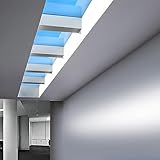 PeseTech 2x2 LED Flat Panel Light. Artificial Skylight can simulate Sunrise, noon, Sunset and Night Sky to add Natural Light to Office、Store、Gym. Can Replace Ordinary LED Flat Panel Light.