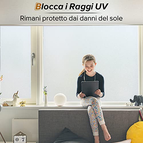 Rabbitgoo Pellicola Vetri Finestre 44.5x300cm