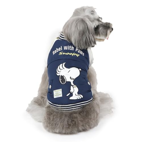 ybgp_CX Xk[s[   ~ AE^[ WPbg XJW qJ ^ cr  ̕ ybg hbOEFA ԊO g h uh ycX74XܓWJ2025/8/1_z 