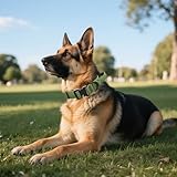 Ledeak Taktisches Hundehalsband mit Griff, Weich Gepolstert Verstellbares Hunde Halsband mit Robustem Adlerverschluss aus Metall, Polypropylen Tactical Dog Collar für Mittlere Große Hunde (Grün, L)