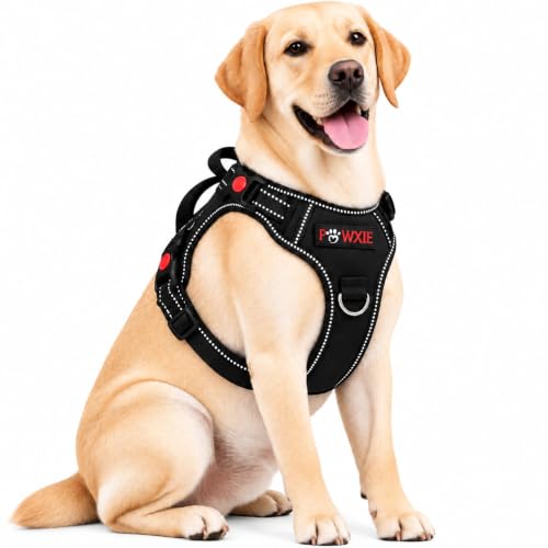 Image of No Pull Dog Chest Belt Harness, Comfortable & Adjustable Size | for 14-23 Kg Pet (Black, Medium)