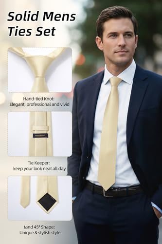 Image of HISDERN Mens Ties Solid Color Ties for Men Formal Necktie with Pocket Square Set Satin Silk Neck Tie Handkerchiefs Set