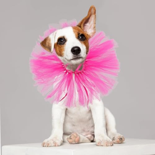 Disfraz de princesa tutu para perros pequeños miniatura 3