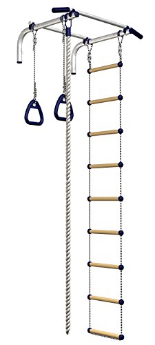 wall mounted gymnastic rings