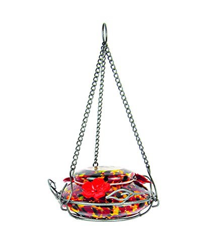 Nature's Way Bird Products GHF5 Hand Blown Garden Top Fill Hummingbird Feeder, 16 oz Capacity, Molten