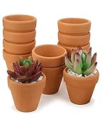 Cadamada Set of 10 Terracotta Clay Pots - Great for Succulent & Cactus Nursery Planter, DIY Craft Projects, Wedding and Party Favors 4inchx 4inch