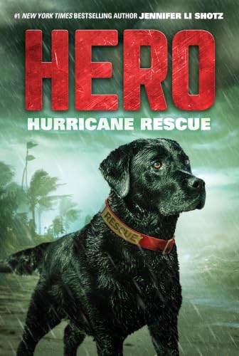 Hero: Hurricane Rescue: A Thrilling Middle Grade Dog Adventure About Heroism and Survival in a Storm for Kids (Ages 8-12)