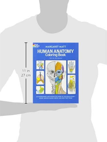 image for Dover Publications Human Anatomy Coloring Book: an Entertaining and In
