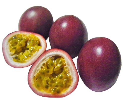 [島の宝]購入高糖度パッションフルーツ ご家庭用 0.8kg