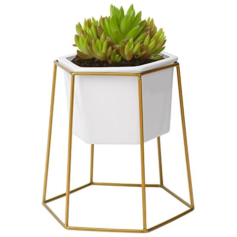 Flexzion Set de Soporte para Plantas con Maceta y Base de Hierro Cover