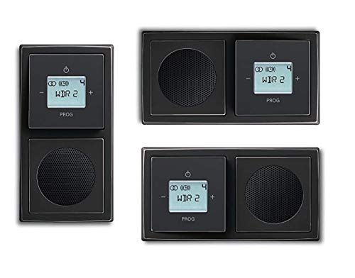 Busch Jäger Unterputz UP Digitalradio 8215 U (8215U) Anthrazit Komplett-Set // Radioeinheit + Lautsprecher + 2-fach Rahmen 1722-181K + Abdeckungen