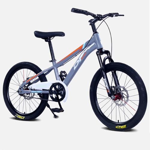 FMBLDM Bicicleta de Montaña para Niños de 22 Pulgadas y 20 Pulgadas con Freno de Disco Doble Adecuada para Niños y Niñas Bicicleta para Niños C,22 Inches