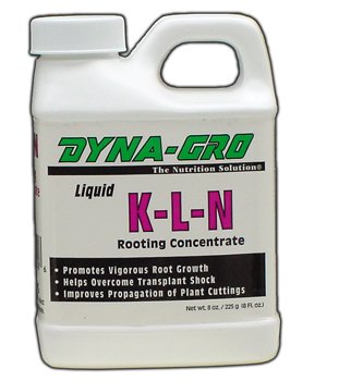 Kln Concentrate 8 Fl Oz #TOP1