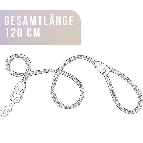 ne&no Tauleine 1.2m (leicht dehnbar) für mittelgroße bis ganz große Hunde I Trainingsleine I Hundeleine robust I Führleine rund, geflochten I Seil Leine Hund I Cityleine I Dog Leash Taupe, 120 cm