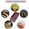 3 PCS Reptile Water Dish, Leaf Reptile Water Bowl, Amphibians Habitat Tortoise Food Bowl with Climbing Ramp for Turtle, Gecko, Snake, Bearded Dragon, Lizard