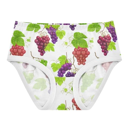 Fun Girls Underwear Toddlers 2t Cotton Cute Panties Girl Fruits Grape Clusters Purple Red Briefs Kids Undies