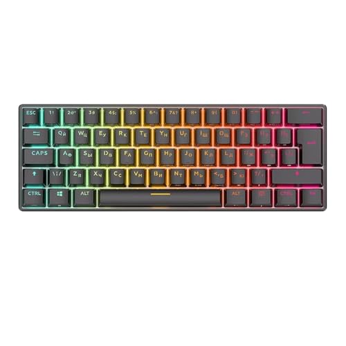 RK61 gC[hJjJL[{[h 60% RGB zbgXbv\ȃCXQ[~OL[{[h Bluetooth 5.0 2.4G  USB ݊(RUSSIAN BLACK)