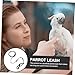 DOITOOL 2pcs Adjustable Parrot Leash Xs Bird Walking Vest for Outdoor Training Random Suitable for Parakeets and Conures Easy to Use for Pet Birds