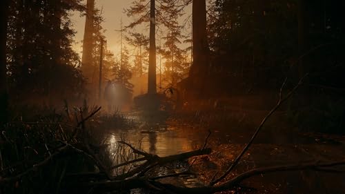 U & I Entertainment Alan Wake 2 | Deluxe edition |PlayStation 5 - Image 7