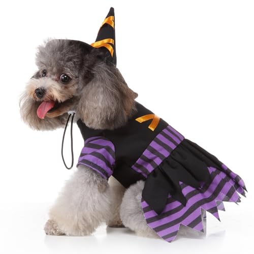 Disfraz Halloween de mago para perros tamaño M miniatura 4