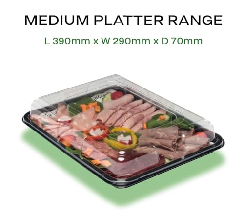 10 x MEDIUM PLATTERS & LIDS