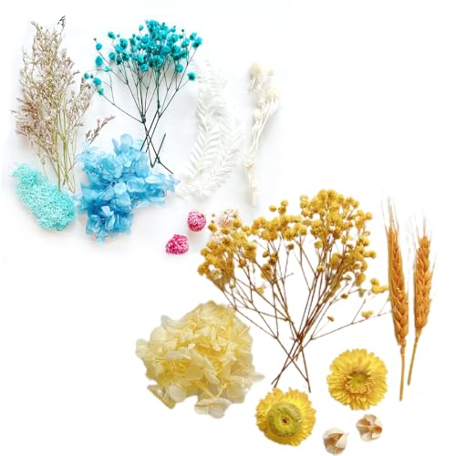 KXUSW Fiori Secchi Naturali Decorativi con Scatola - Kit Artigianato Fai da Te per Decorazioni di Candele e Scrapbooking