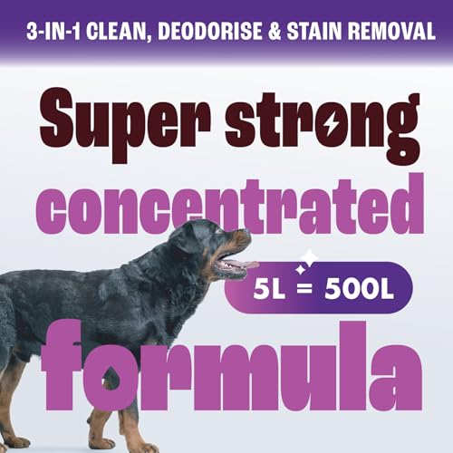 Dirtbusters Solución de champú limpiador de alfombras de tapicería de coche (5 L) para limpieza de interiores, limpia, elimina las manchas y desodoriza con tratamiento reactivador de olores - imagen 6