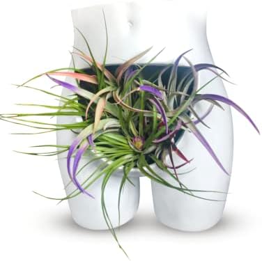 Miniatura 7 de Maceta moderna de decoración de forma femenina, gran regalo para mujeres, maceta divertida para mujer, florero de forma femenina, decoración de