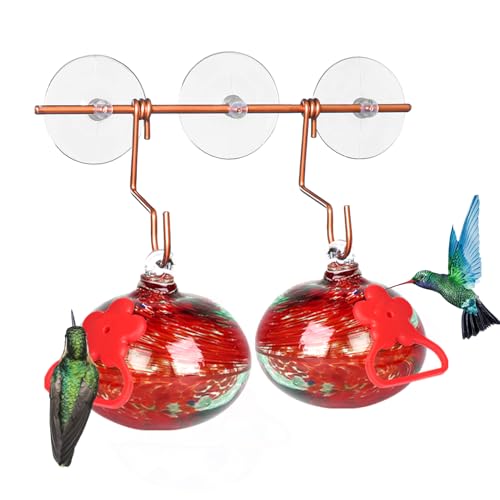 Pozfun Set of 2 Hummingbird Feeders for Outdoors Hanging,Hand-Blown Glass Hummingbird Feeder with Silicone Feeding Perch,Never Leak,Gardening Gifts for Woman Man