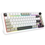 E-YOOSO Z82 Wireless Mechanical Keyboard, 3-Modes 81 Keys Compact, 75% Gasket Hot Swappable RGB Gaming Keyboard with Dedicated Knob Control and Sound Absorbing Pads, PBT Keycaps